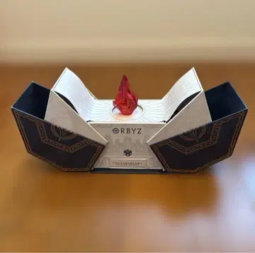 TomorrowLand 2025 VVIP 기념품