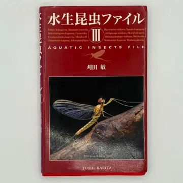 수생곤충 파일 3