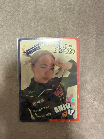 D리그 트레이딩 카드 ANJU