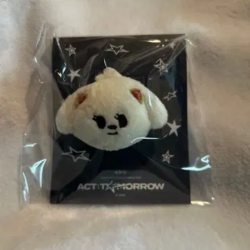 [정품] TXT 투모로우바이투게더 범규 마스코트 링