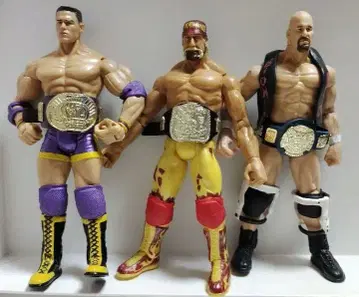 JAKKS사판 WWE 프로레슬링 피규어 레전드 3인 세트 벨트 포함