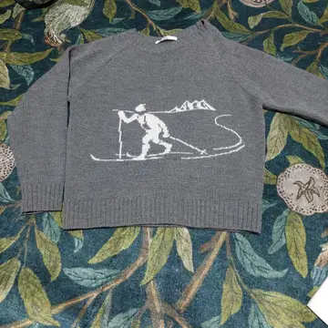 SJOURNAL STANDARD relume 스키 패턴 스웨터