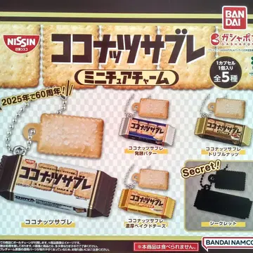 익명 배송 전 5종 세트 코코넛 사브레 미니어처 참