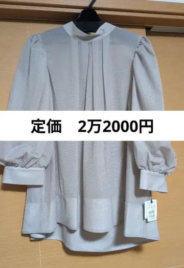 벌룬 슬리브 하이넥 블라우스