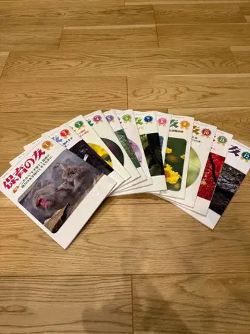 보육의 벗 전 12권 세트 2019년 4월-2020년 3월