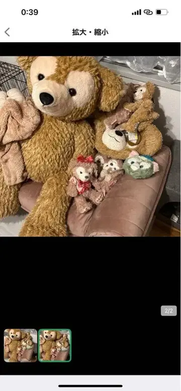 커다란 브라운 곰 봉제 인형 세트