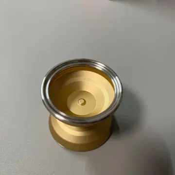 W1LD 노마드 골드