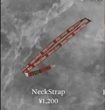 Singer's High 넥스트랩