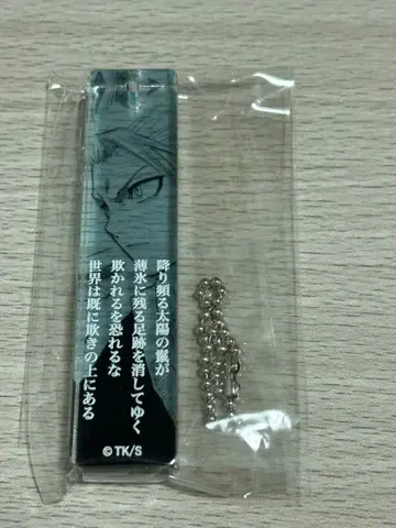 BLEACH 히즈카야 토시로 1