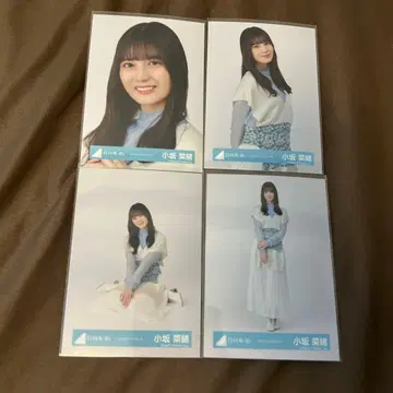 코사카 나오 롱 니트 원피스 4종 컴프