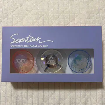 SEVENTEEN 미니 캐럿 키링