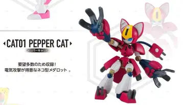 초가동 메다로트 페퍼캣