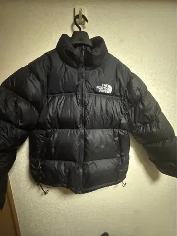 THE NORTH FACE 1996 레트로 눕시