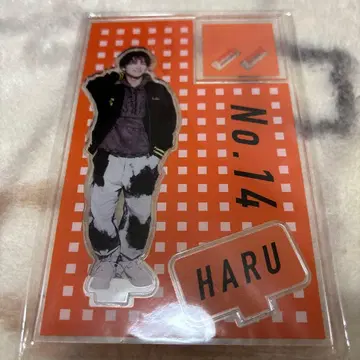 초특급 하루 아크릴 스탠드 B9