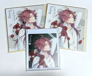 오토메이트 온라인 복권 양 색지 & 거울