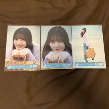 코사카 나오 2025년 달력 스타일링 의상 해변 3종 컴프