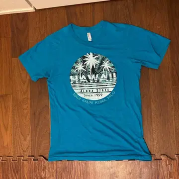 American Apparel 하와이 T셔츠 S사이즈