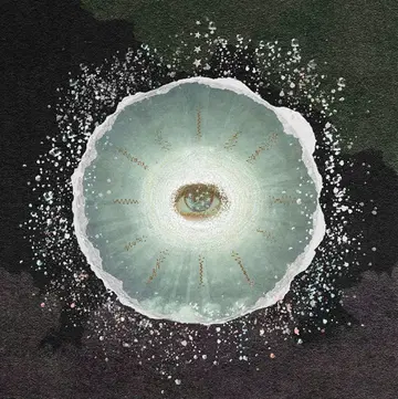 Siip 가이아 상자