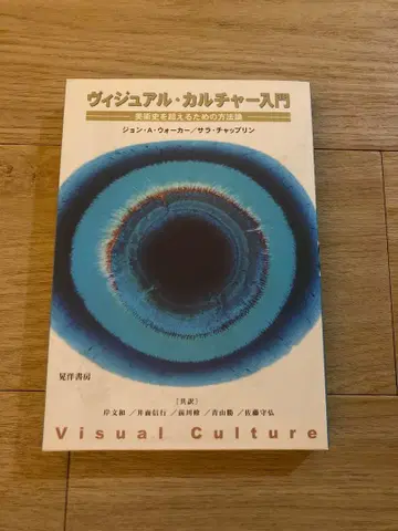 비주얼 컬처 입문: 미술사를 넘어서기 위한 방법론