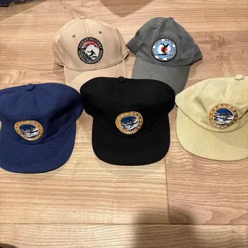 미사용 새상품 캡 5개 세트