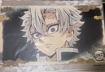 귀멸의 칼날 시나즈가와 사네미 런천매트