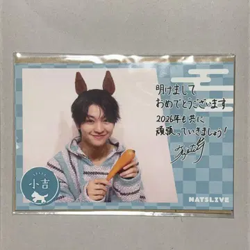 후지모토 코다이 NATSLIVE 연하장 엽서