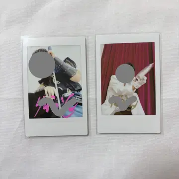 카와이 타치토로 폴라로이드 아크바토