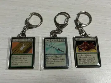 헌터헌터 메탈 키링 토가시전