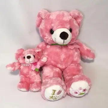 지역 한정 베어 사쿠라 베어 S 사이즈 & 마스코트 2종 세트