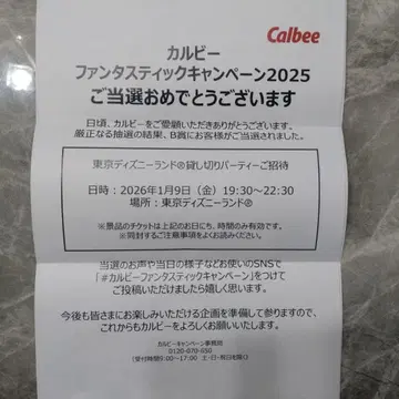 디즈니랜드 대여 2025 카루비 판타스틱 캠페인