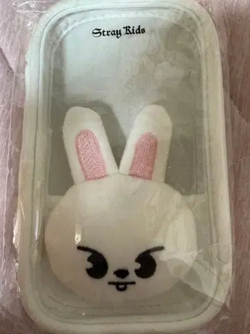 StrayKids 아크릴 스탠드 케이스 Leebit 리빗