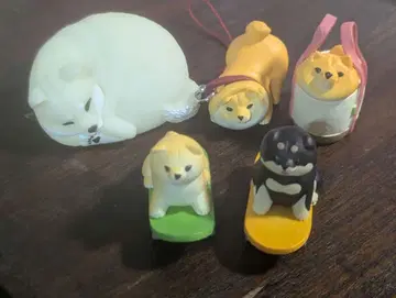 시바견 마스코트 피규어 가챠 캡슐 토이 묶음 판매