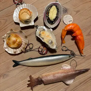 조개, 꽁치, 새우, 오징어 스퀴즈 세트