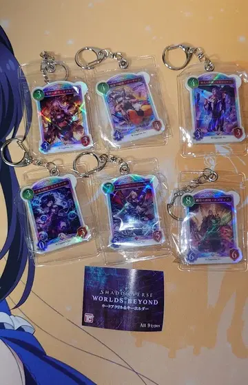 섀도우버스 월즈 비욘드 카드 아크릴 키링 세트