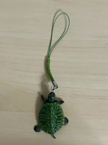 입체 캡슐 백과사전 원색 파충류 거북목 도감 끈 달린 장식품 미도리가메