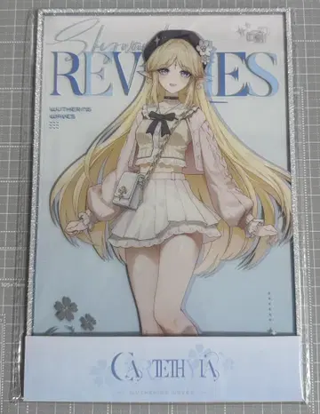 명조 카르테지아 아크릴 색지 중국 팝업 한정판 KAKACODE 징콩만핀