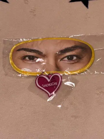 THE REASON 캡슐 SHOKICHI