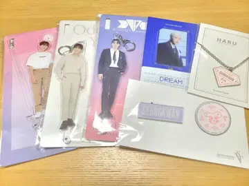 SEVENTEEN 승관 아크릴 키링 세트