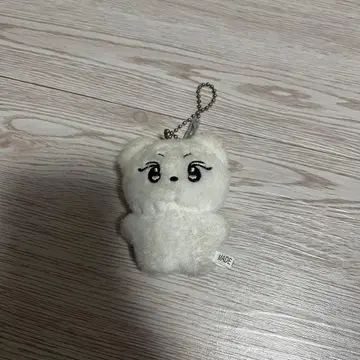 ENHYPEN 정원 야옹이 미니 사이즈