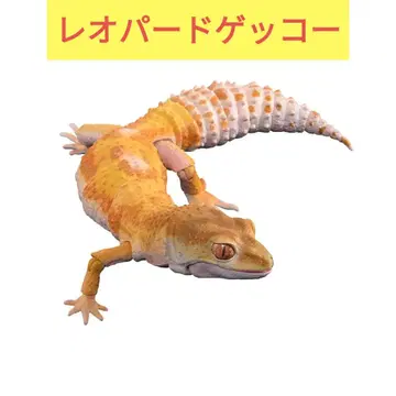 [미개봉] 생물대도감 레오파드게코