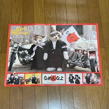 얕보지마 고양이 나메네코 포스터 당시 물건 데드스탁