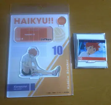 하이큐 아크릴 스탠드 히나타 쇼요