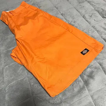dickies 디키즈 하프 팬츠 오렌지