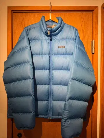 Patagonia 다운 자켓 파랑