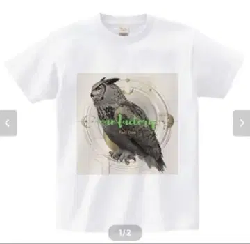 Feel free 올빼미 tee