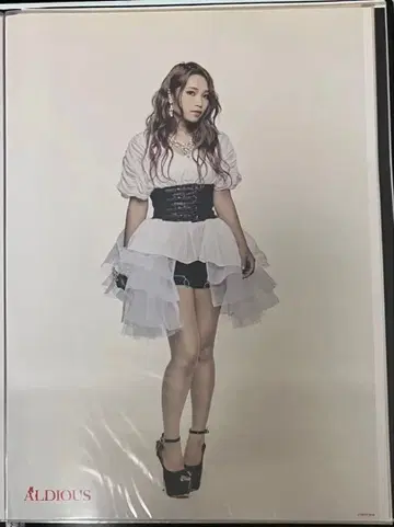 Aldious 알디아스 포스터 RIN (린) B2 사이즈