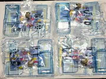 미니 사륜구동 한국 라인프렌즈 브라운 RACER 바디 4세트