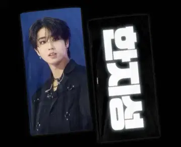 straykids 스키즈 슬로건 한 지성