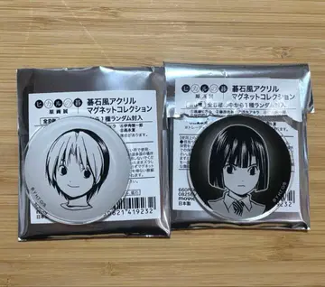 히카루의 바둑 바둑돌풍 아크릴 마그넷 컬렉션 아키라 히카루