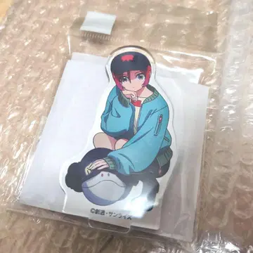 아마테 유즈리하 아크릴 스탠드 기동전사 (지크액스) 건담